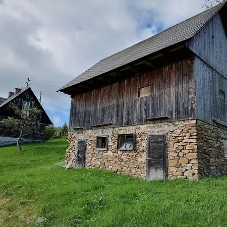 Zankl * Lavamund